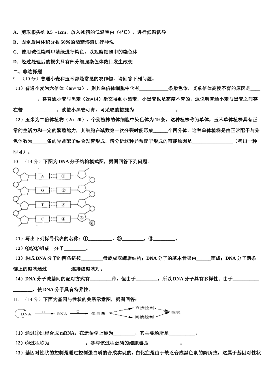 2025届北京市西城区北京教育学院附中高一生物第二学期期末学业质量监测模拟试题含解析_第3页