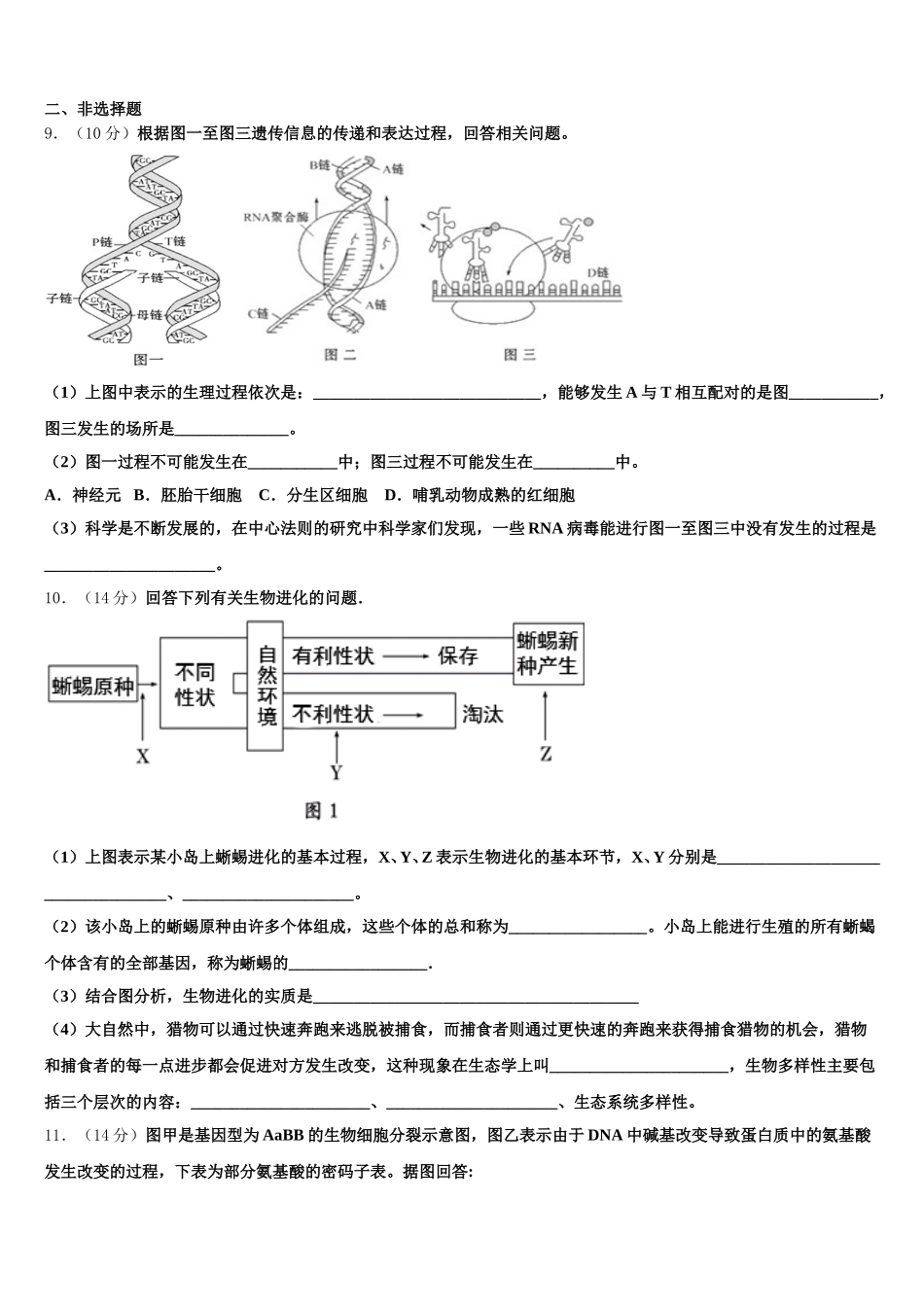 2024-2025学年北京市海淀区中央民族大学附属中学高一下生物期末综合测试试题含解析_第3页