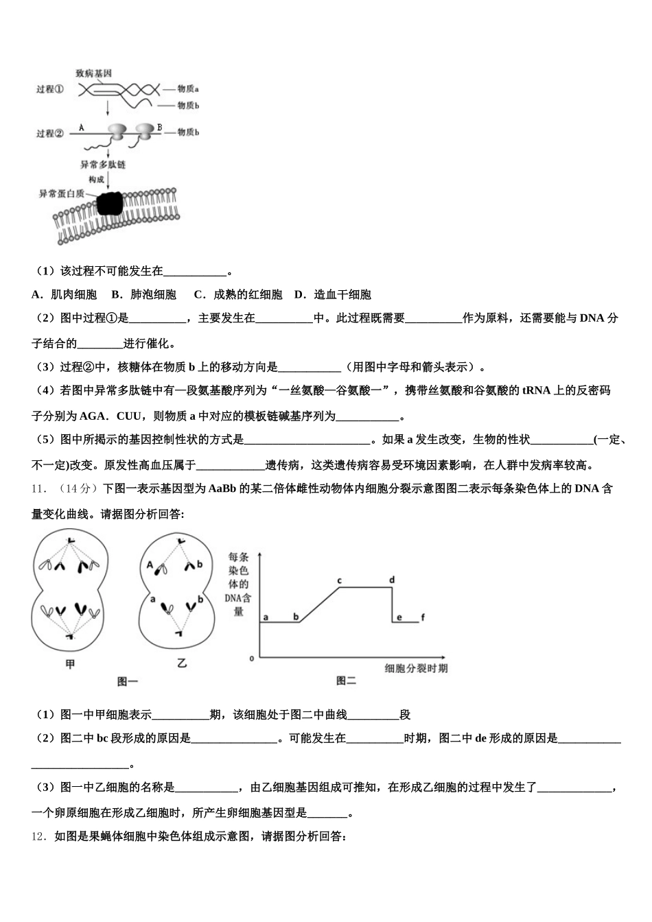 北京海淀北京科技大学附属中学2025届生物高一下期末达标测试试题含解析_第3页