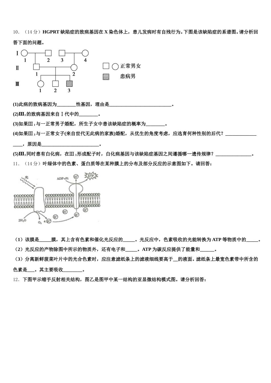 2024-2025学年北京西城长安中学高一下生物期末学业水平测试模拟试题含解析_第3页