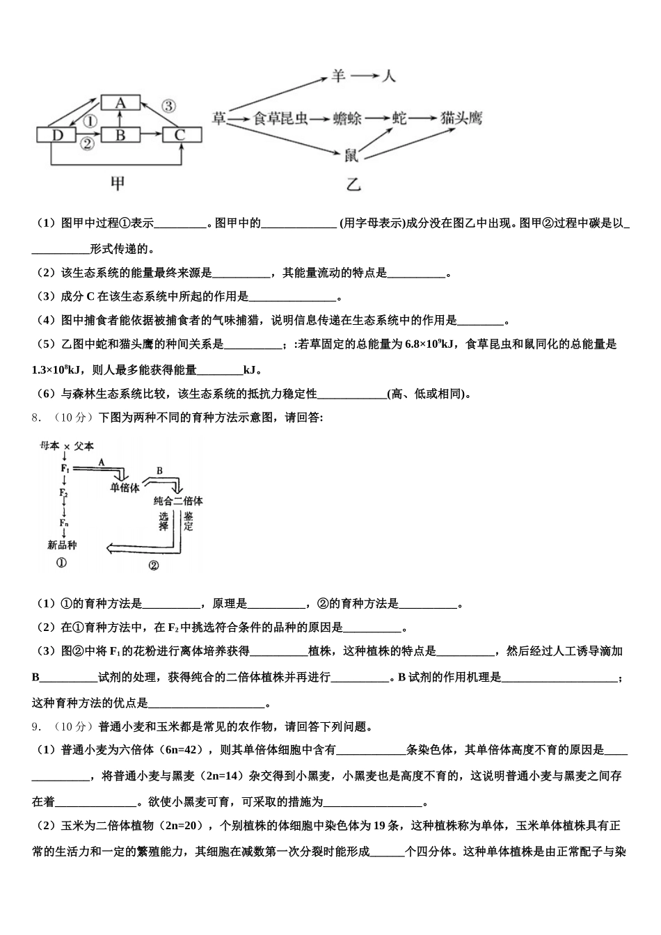 2025年北京市大峪中学生物高一下期末综合测试模拟试题含解析_第2页