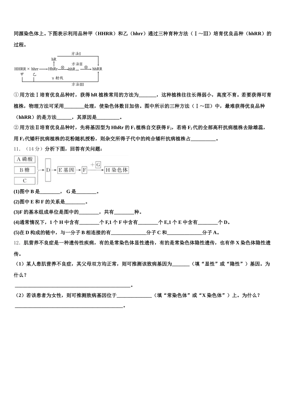 2025年北京海淀区中国人民大学附属中学生物高一第二学期期末学业水平测试模拟试题含解析_第3页