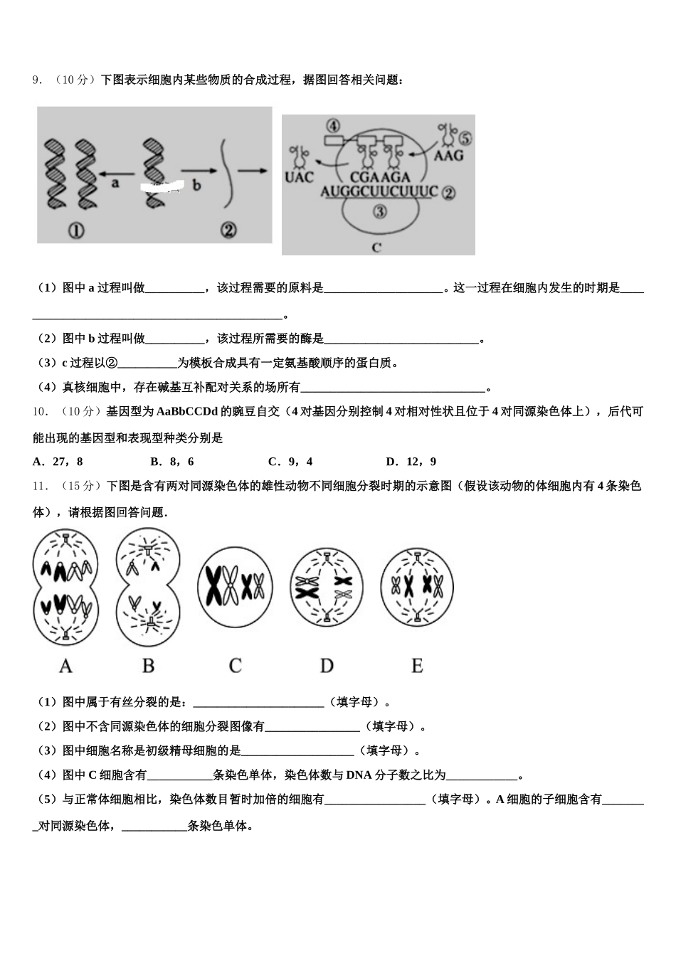 2025届北京市人大学附属中学高一生物第二学期期末统考模拟试题含解析_第3页