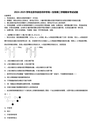 2024-2025学年北京市徐悲鸿中学高一生物第二学期期末考试试题含解析