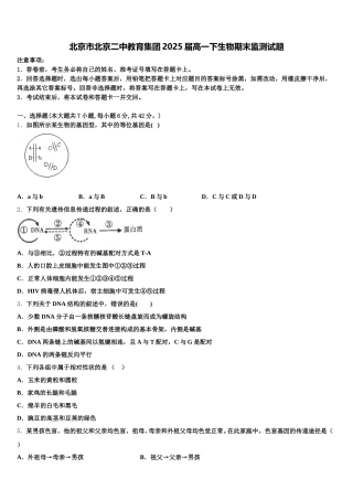 北京市北京二中教育集团2025届高一下生物期末监测试题含解析