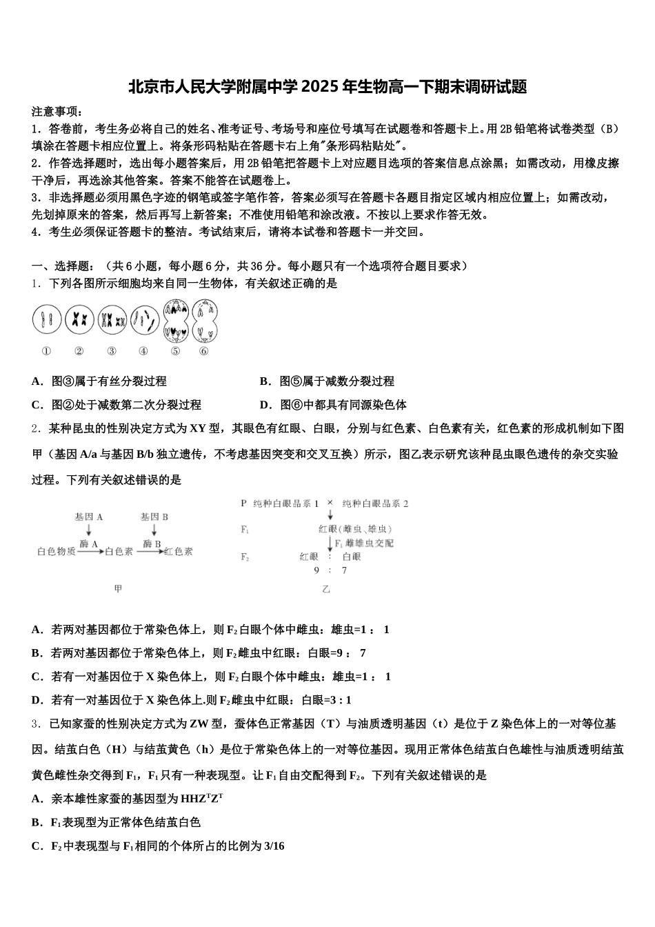 北京市人民大学附属中学2025年生物高一下期末调研试题含解析_第1页