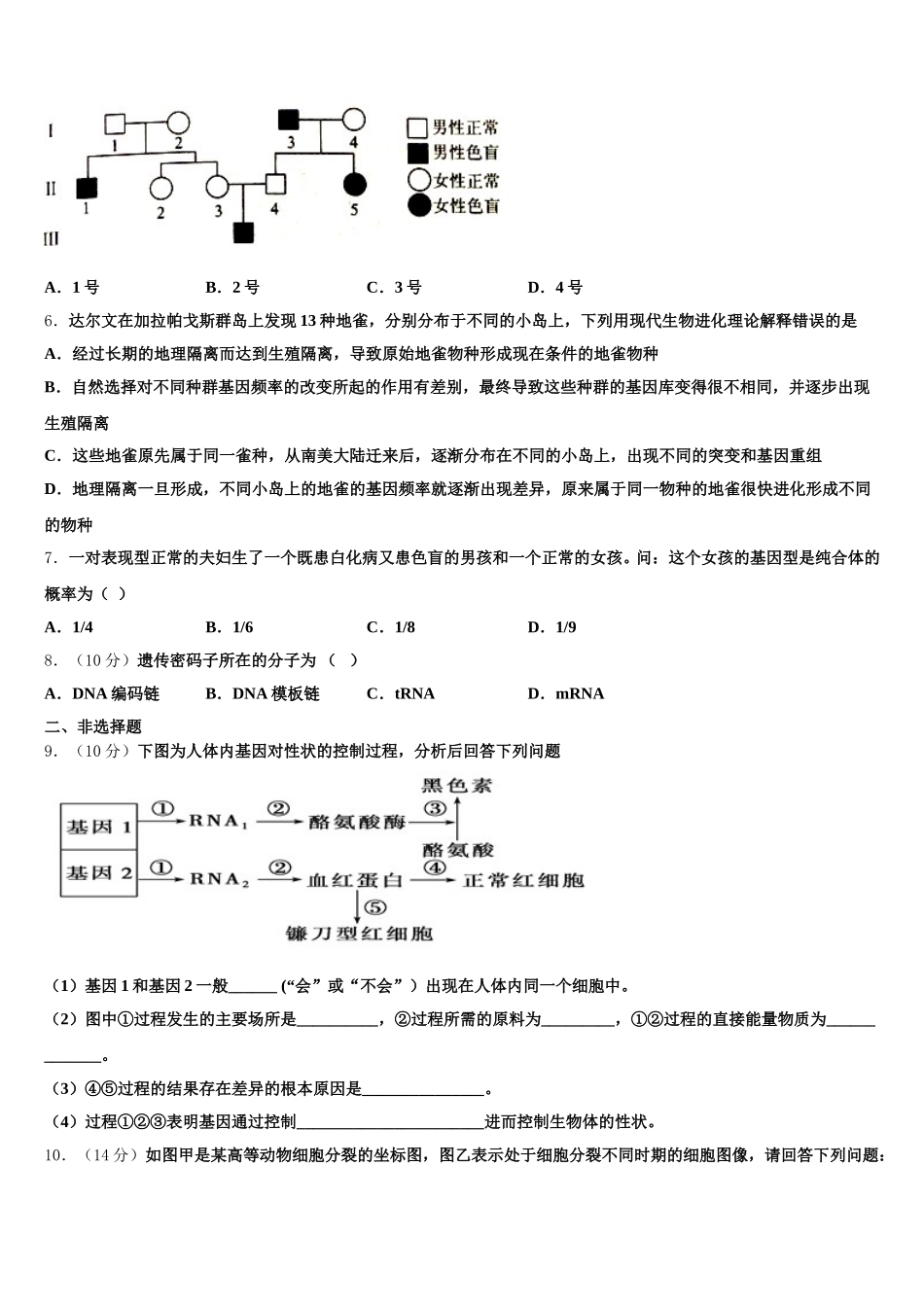 北京市朝阳区2025届高一生物第二学期期末统考模拟试题含解析_第2页