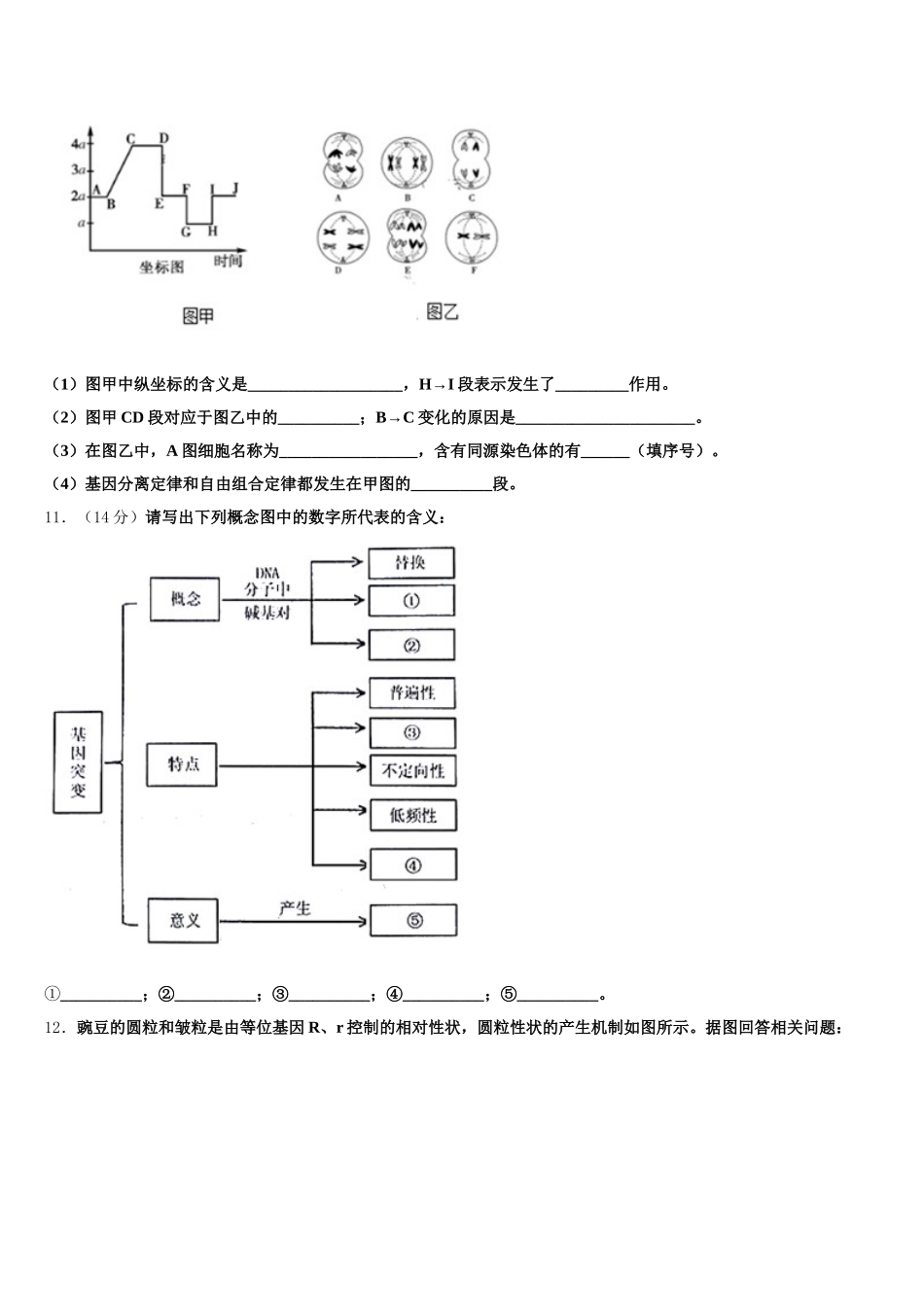 北京市朝阳区2025届高一生物第二学期期末统考模拟试题含解析_第3页