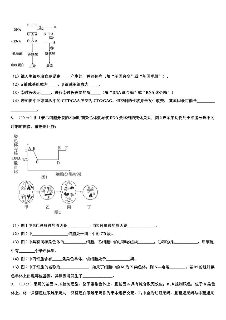 2024-2025学年北京市中央民族大学附中高一下生物期末经典模拟试题含解析_第2页