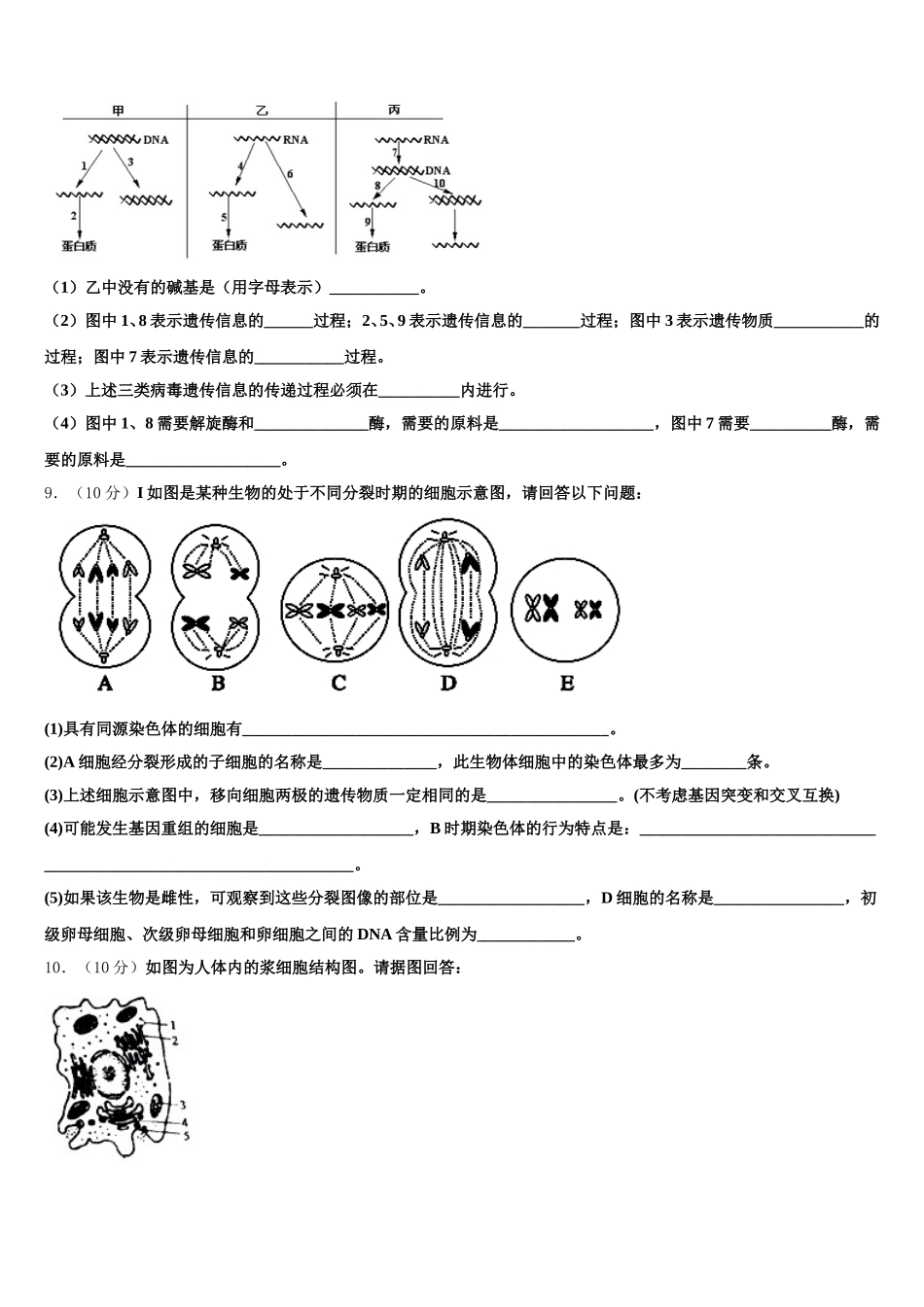 2025年北京石油学院附属中学生物高一第二学期期末考试模拟试题含解析_第3页