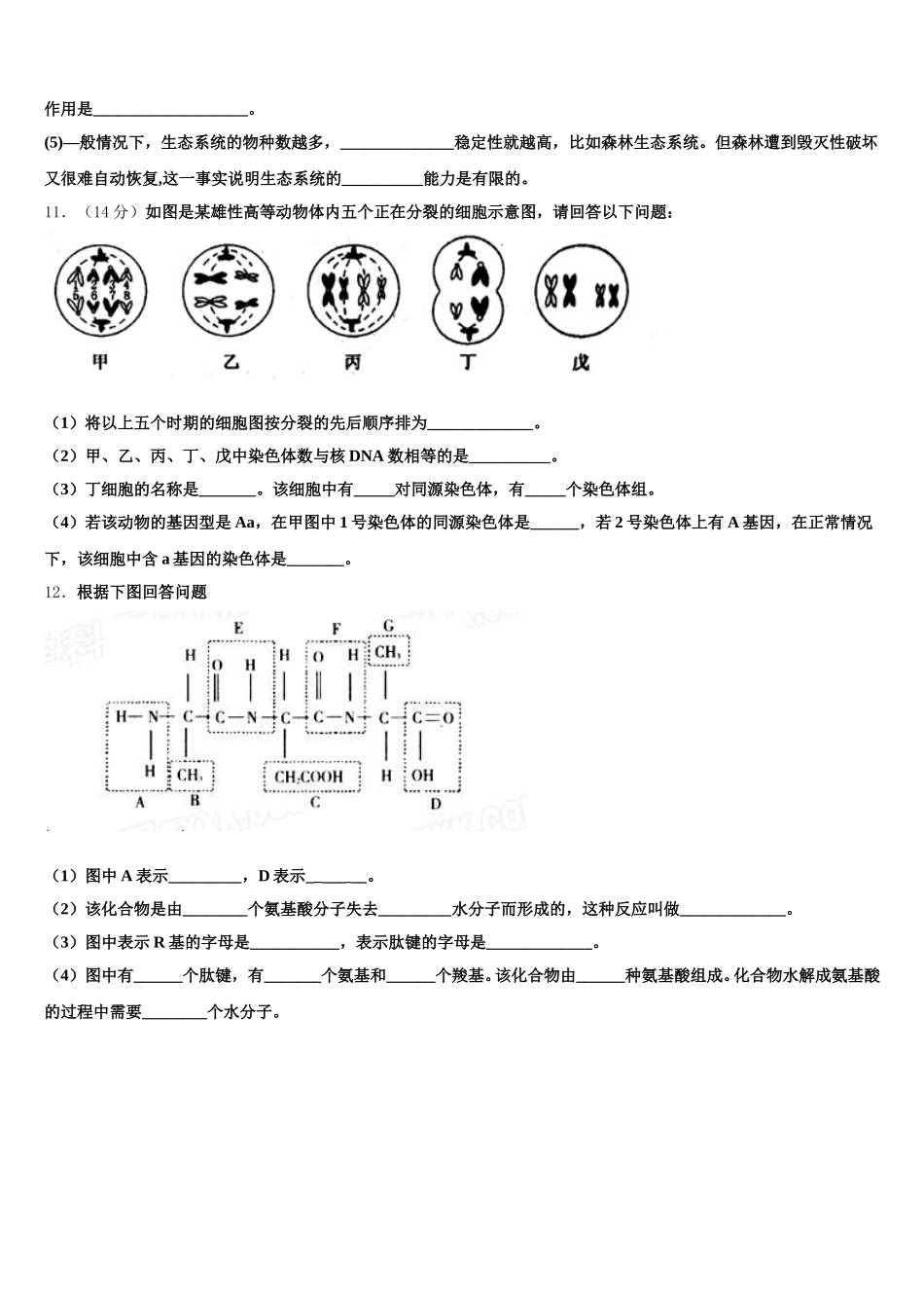 2025年北京市海淀首经贸生物高一下期末质量跟踪监视试题含解析_第3页
