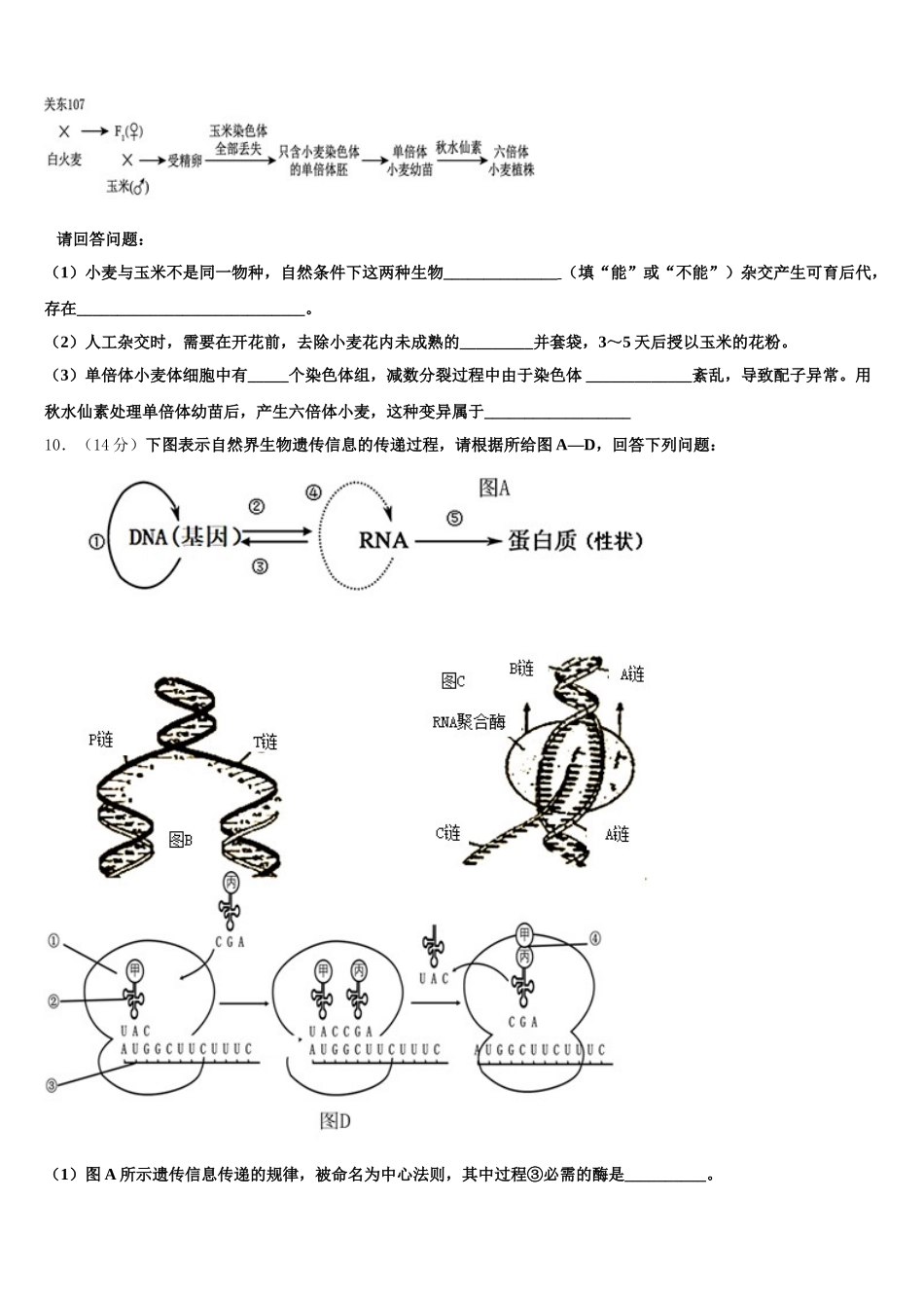 北京市海淀区中央民族大学附属中学2025年高一生物第二学期期末综合测试试题含解析_第3页