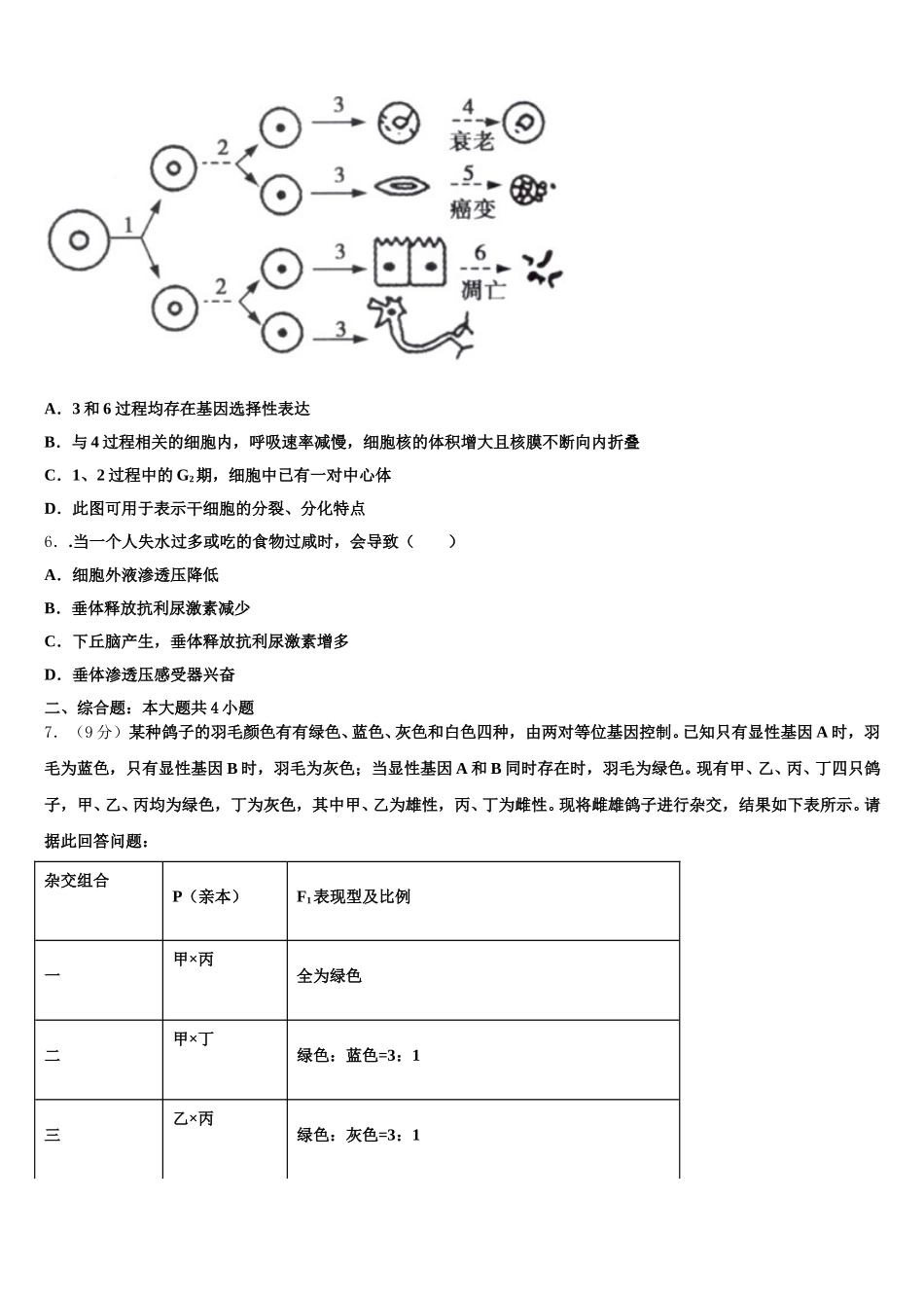 2025届广渠门中学高一生物第二学期期末综合测试模拟试题含解析_第2页