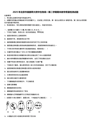 2025年北京市首都师大附中生物高一第二学期期末教学质量检测试题含解析