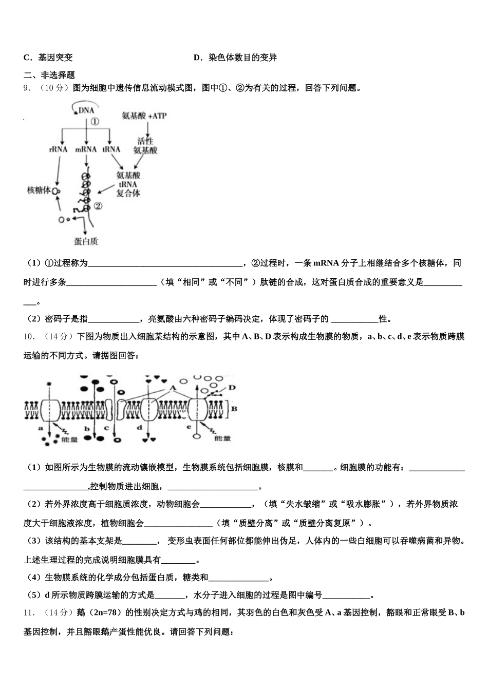 北师大学附中2024-2025学年高一生物第二学期期末监测试题含解析_第2页