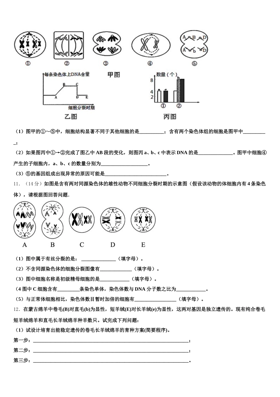 北京市海淀区北京师大附中2024-2025学年高一生物第二学期期末调研模拟试题含解析_第3页