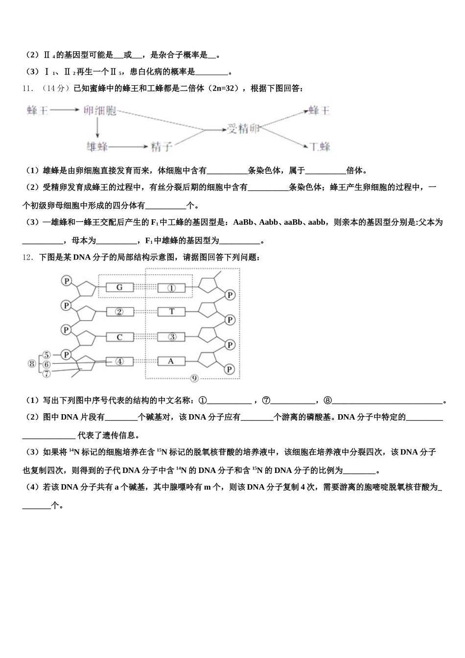 2025年北京市鲁迅中学生物高一下期末经典试题含解析_第3页