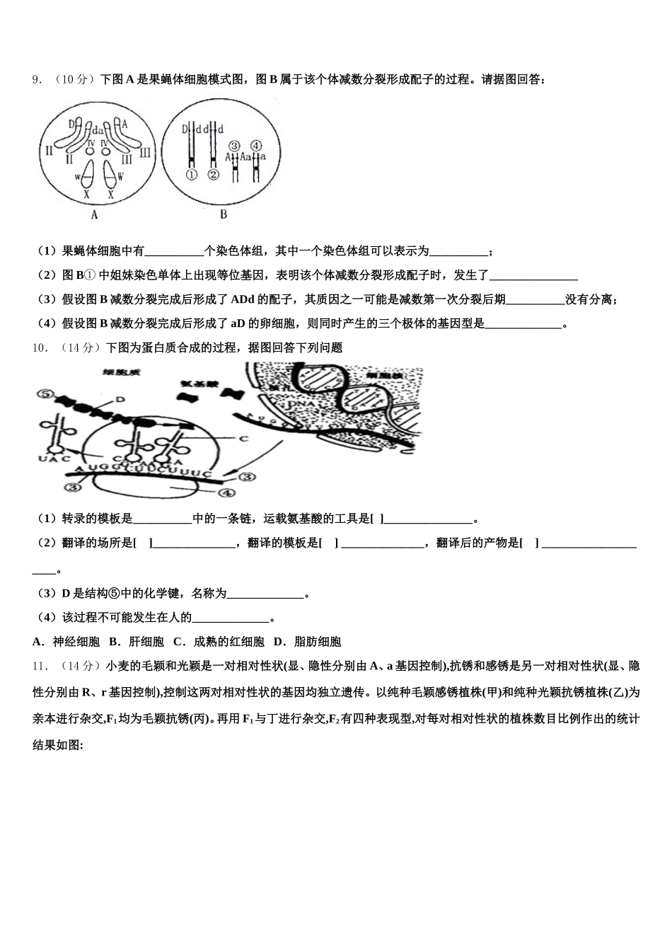 2024-2025学年北京昌平临川育人学校生物高一下期末考试模拟试题含解析_第3页
