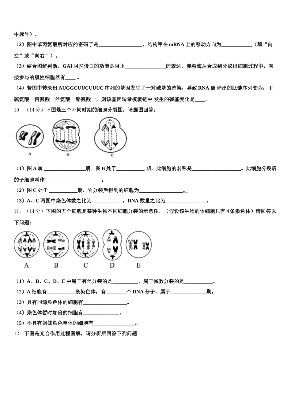 北京市海淀区市级名校2025届高一下生物期末教学质量检测试题含解析_第3页