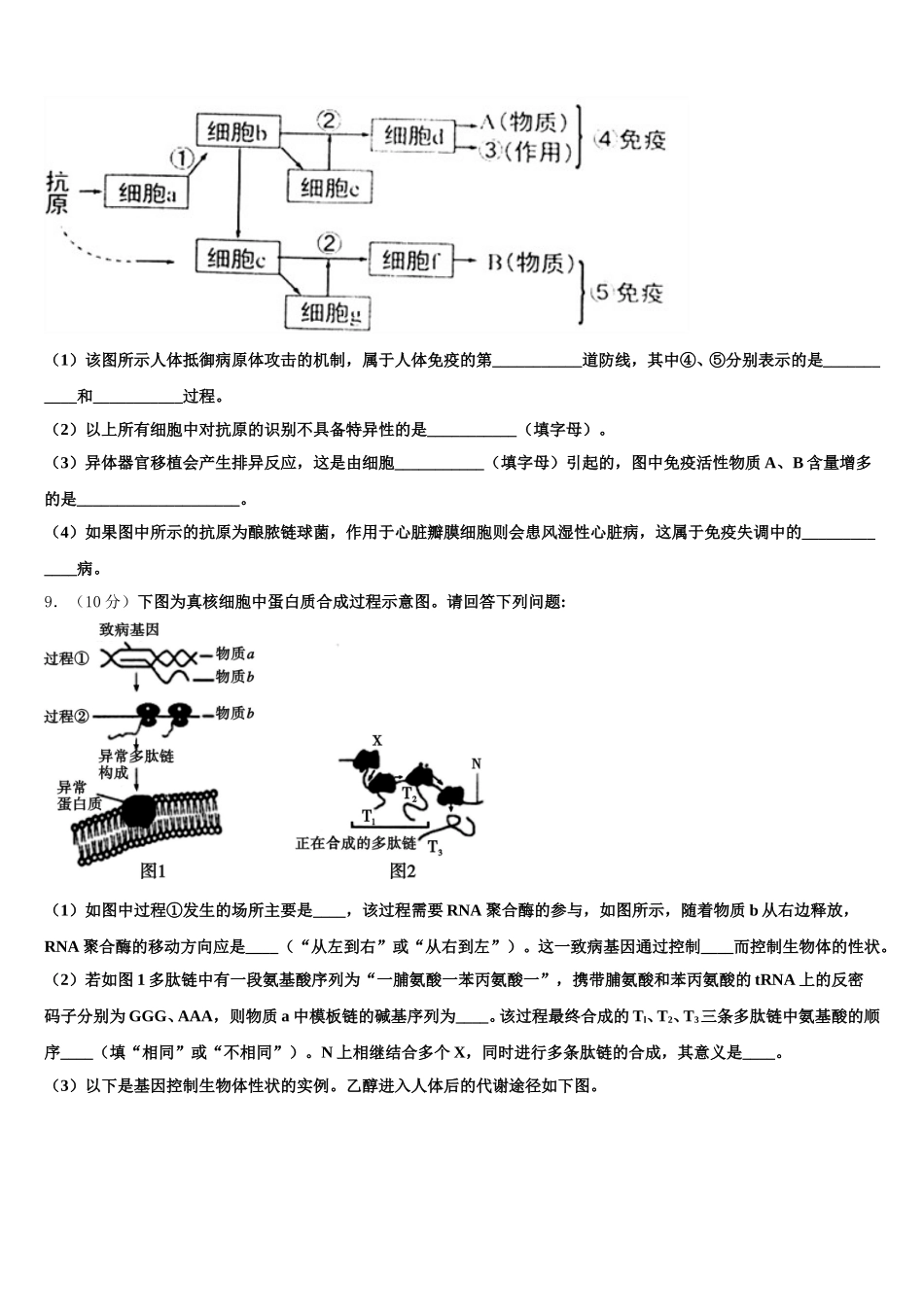北京市海淀区第二十中学2025届高一下生物期末质量检测模拟试题含解析_第3页