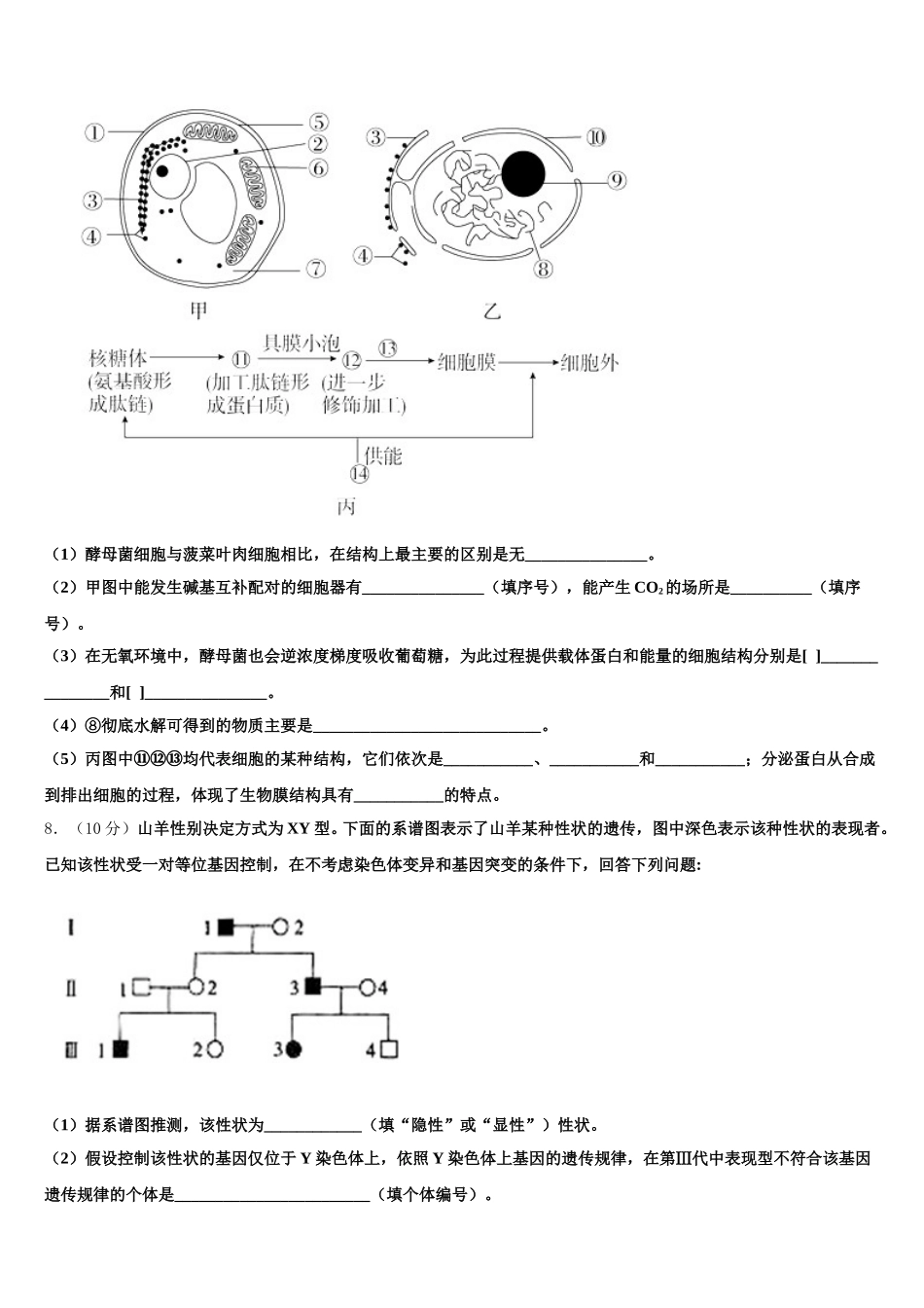 2025届北京市西城区第8中学高一下生物期末调研试题含解析_第3页