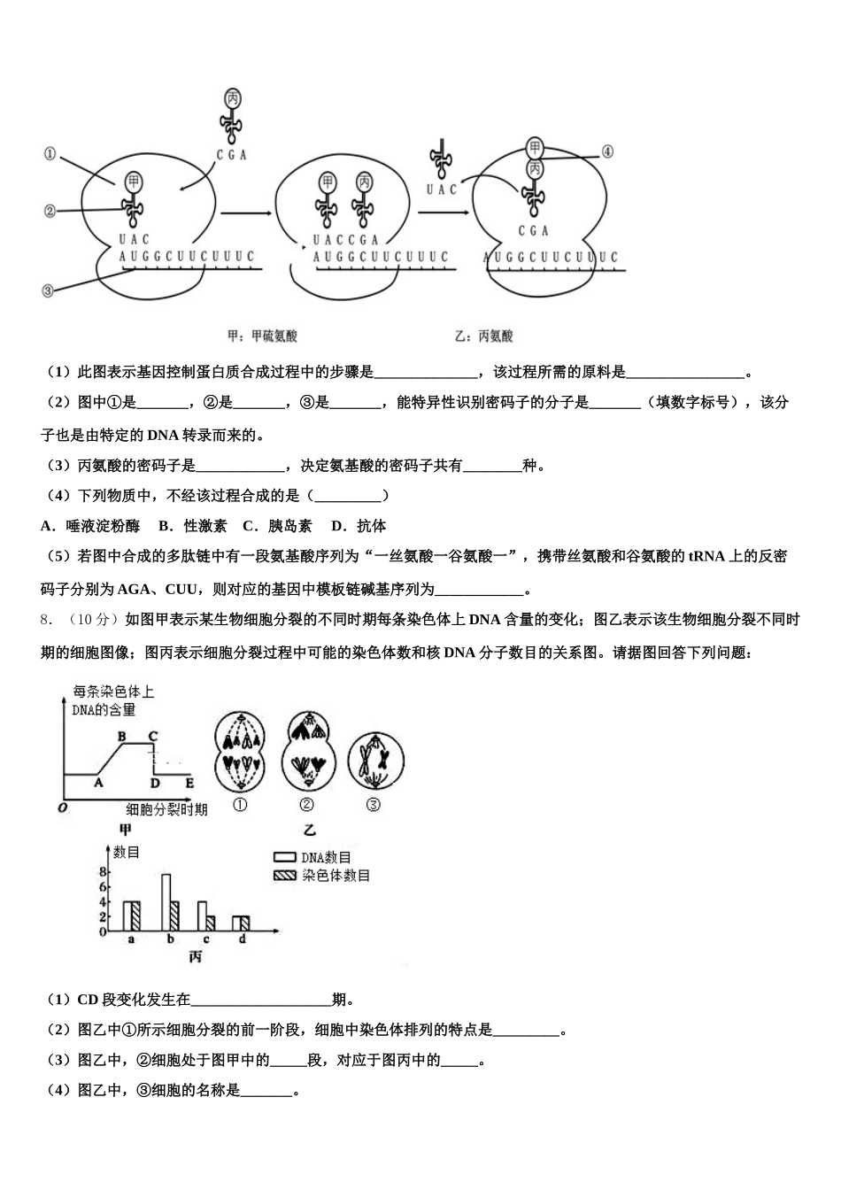 北京市一零一中学2025届生物高一下期末学业质量监测模拟试题含解析_第2页