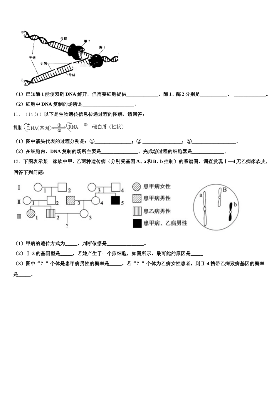 北京市大兴区市级名校2025年生物高一下期末综合测试模拟试题含解析_第3页