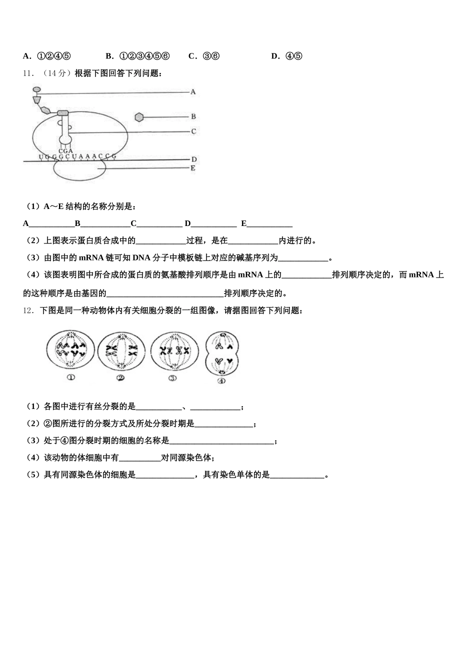 2024-2025学年北师大附属实验中学生物高一第二学期期末综合测试模拟试题含解析_第3页