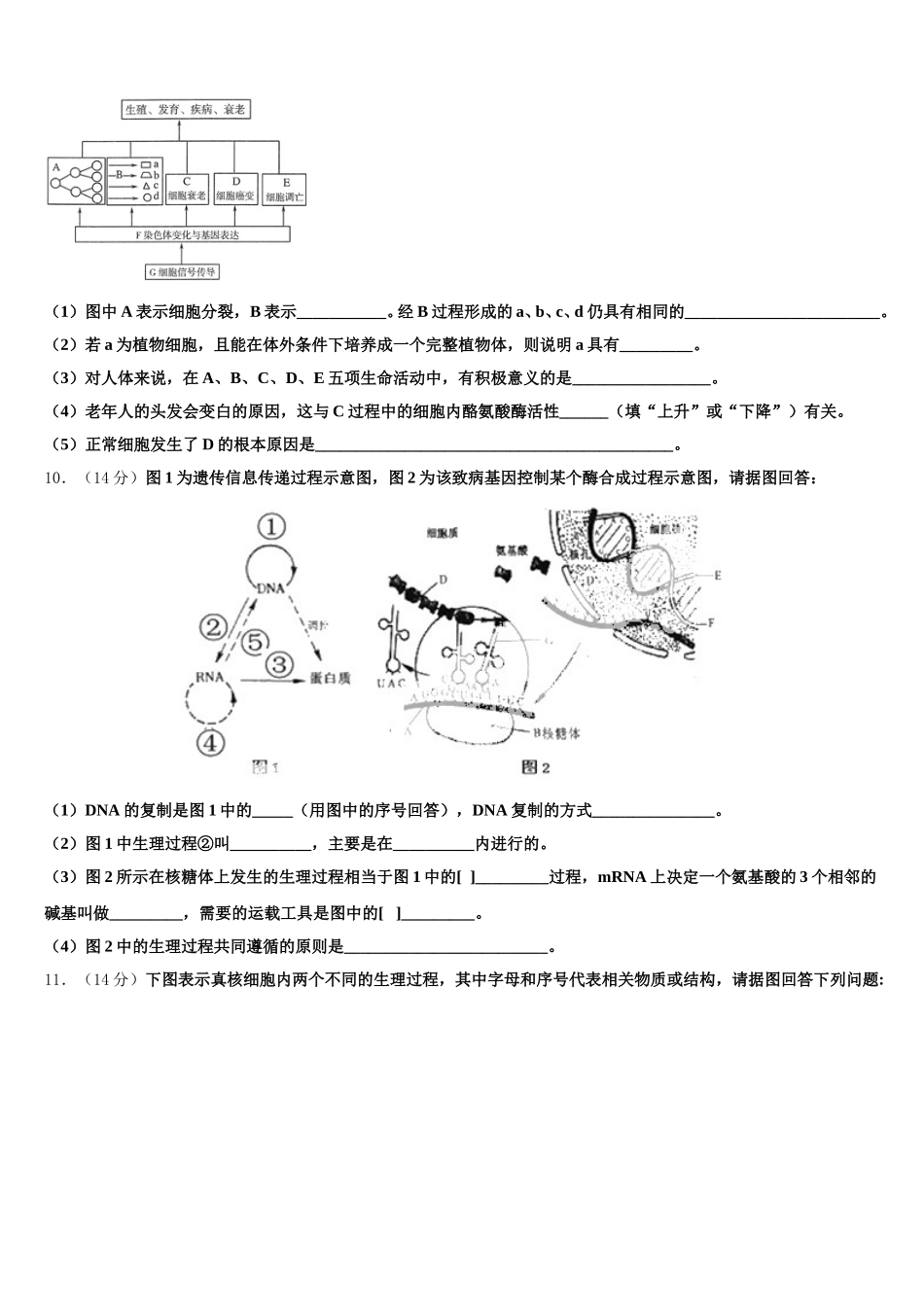 2025届北京海淀区生物高一第二学期期末调研模拟试题含解析_第3页