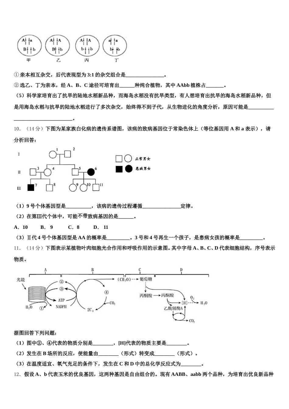 2025届北京市第四十四中学高一下生物期末达标检测模拟试题含解析_第3页