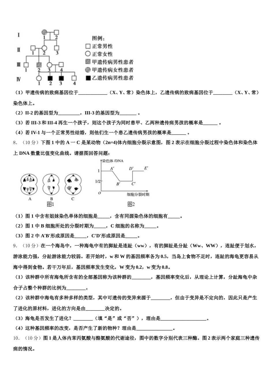 2024-2025学年北京市第八中学高一下生物期末学业水平测试试题含解析_第3页