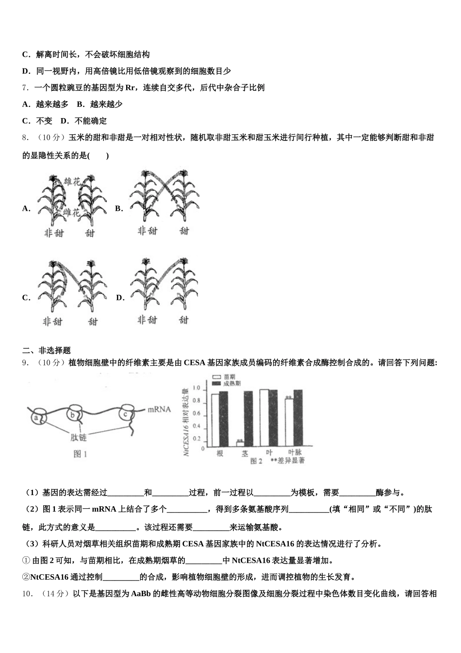 2025届北京市海淀区北京师大附中生物高一第二学期期末学业水平测试模拟试题含解析_第2页
