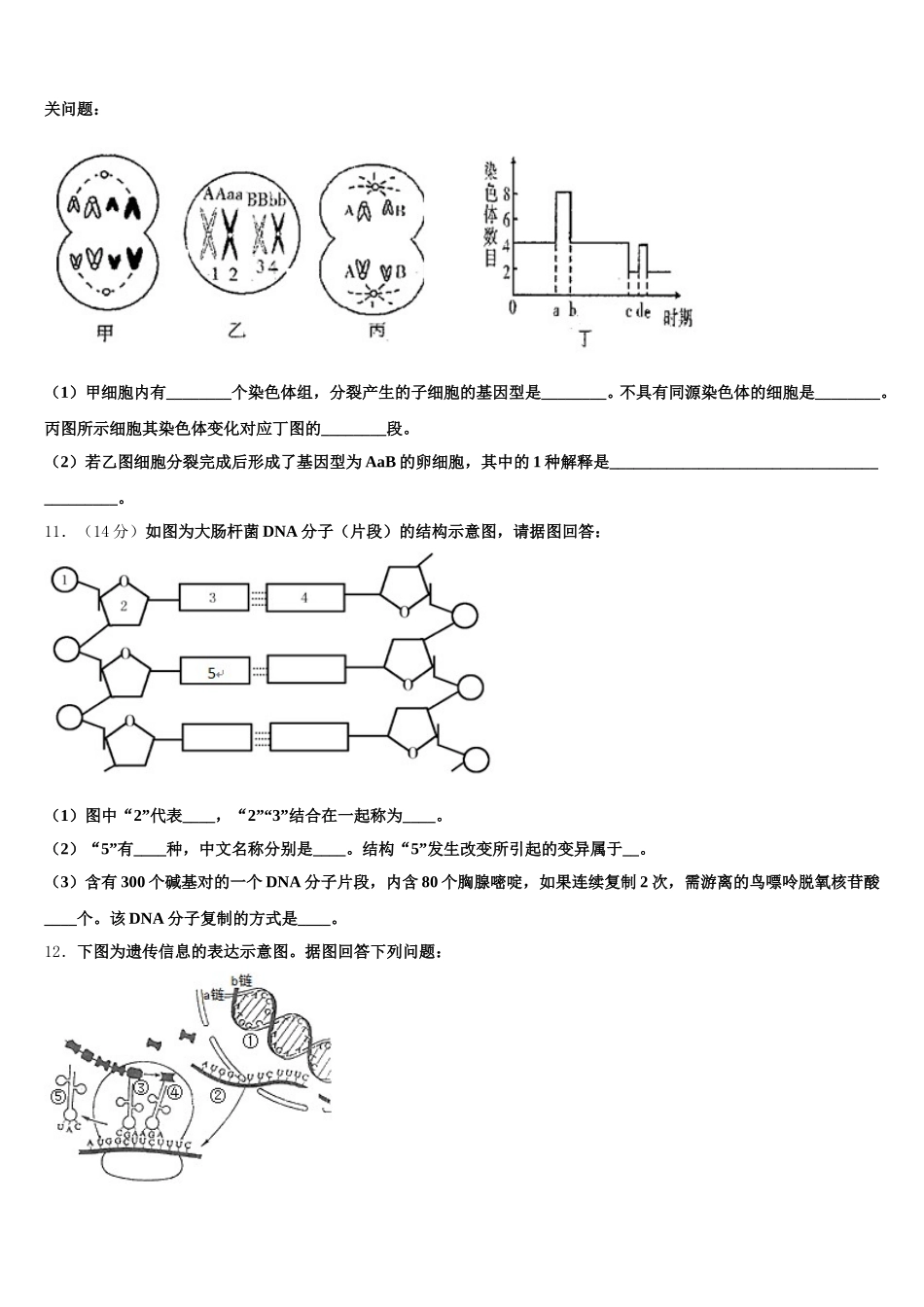 2025届北京市海淀区北京师大附中生物高一第二学期期末学业水平测试模拟试题含解析_第3页