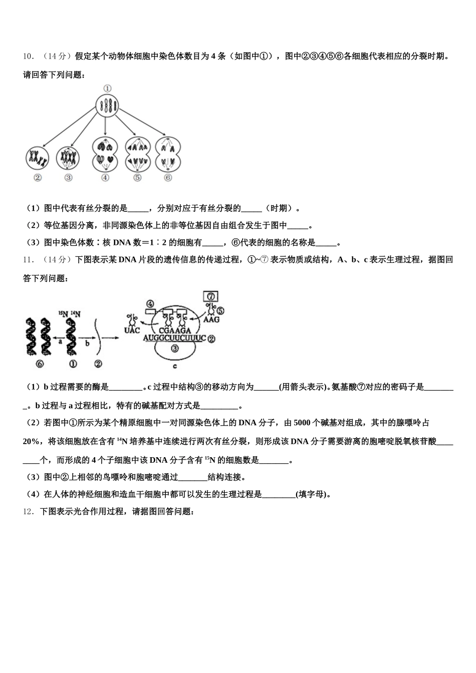 2025年北京市海淀区中关村中学分校高一下生物期末检测试题含解析_第3页