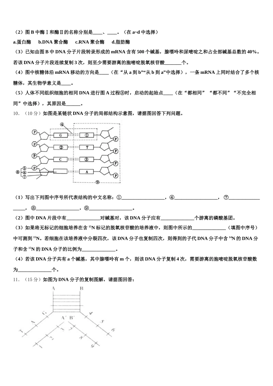2025届北京市第156中学高一生物第二学期期末综合测试模拟试题含解析_第3页