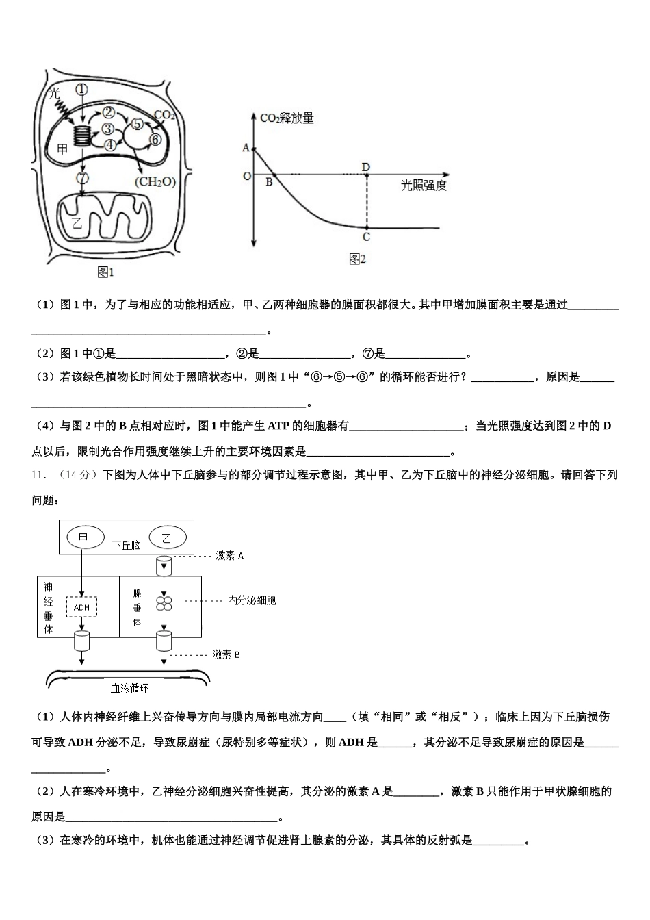 北京市海淀区知春里中学2025届高一生物第二学期期末质量检测试题含解析_第3页