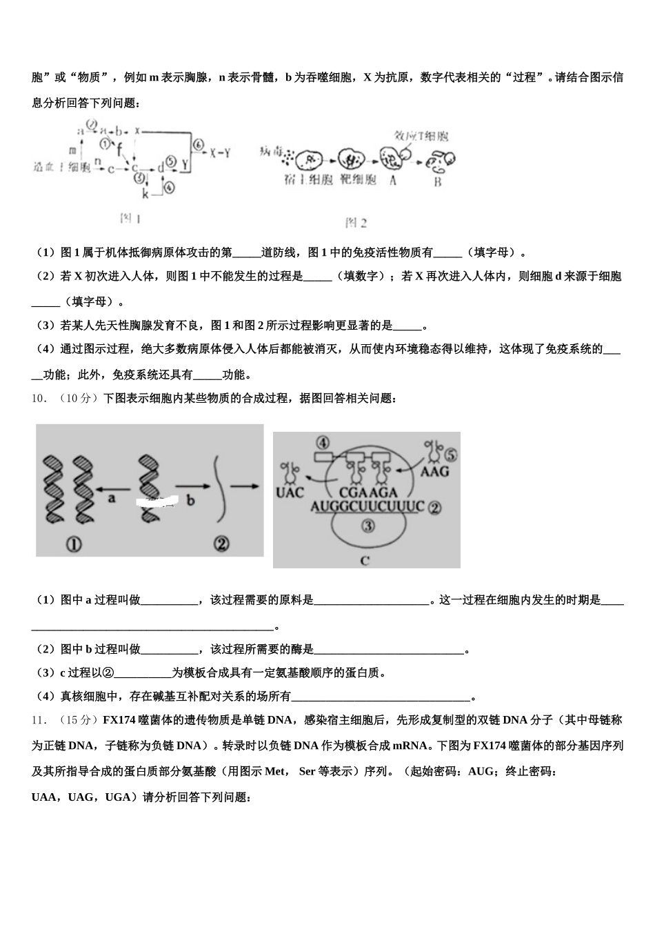 2025年全国普通高等学校生物高一第二学期期末达标检测试题含解析_第3页