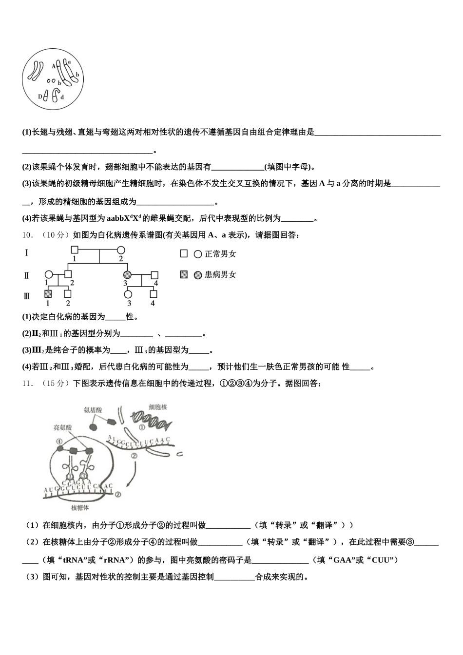 北京市北京师范大学第二附属中学2025年生物高一第二学期期末复习检测试题含解析_第3页