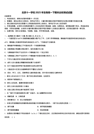 北京十一学校2025年生物高一下期末达标测试试题含解析