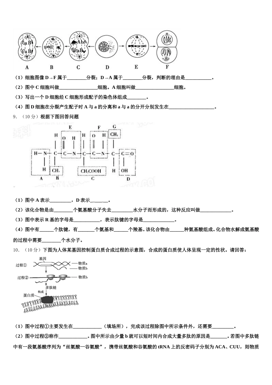 2025届北京市西城区北京第四十四中学高一生物第二学期期末学业水平测试模拟试题含解析_第3页