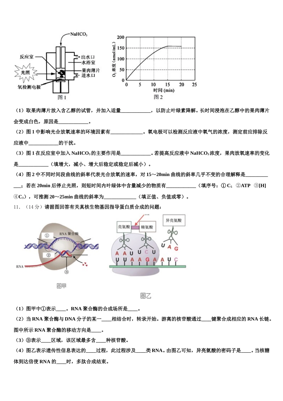 北京东城区2025届生物高一下期末综合测试模拟试题含解析_第3页