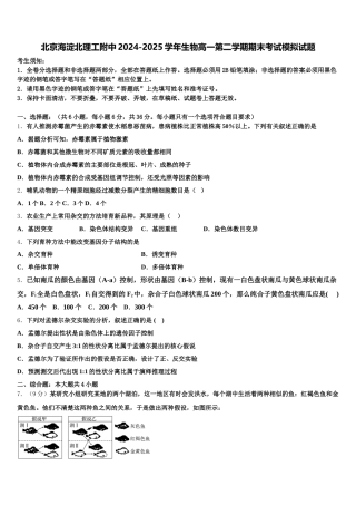 北京海淀北理工附中2024-2025学年生物高一第二学期期末考试模拟试题含解析