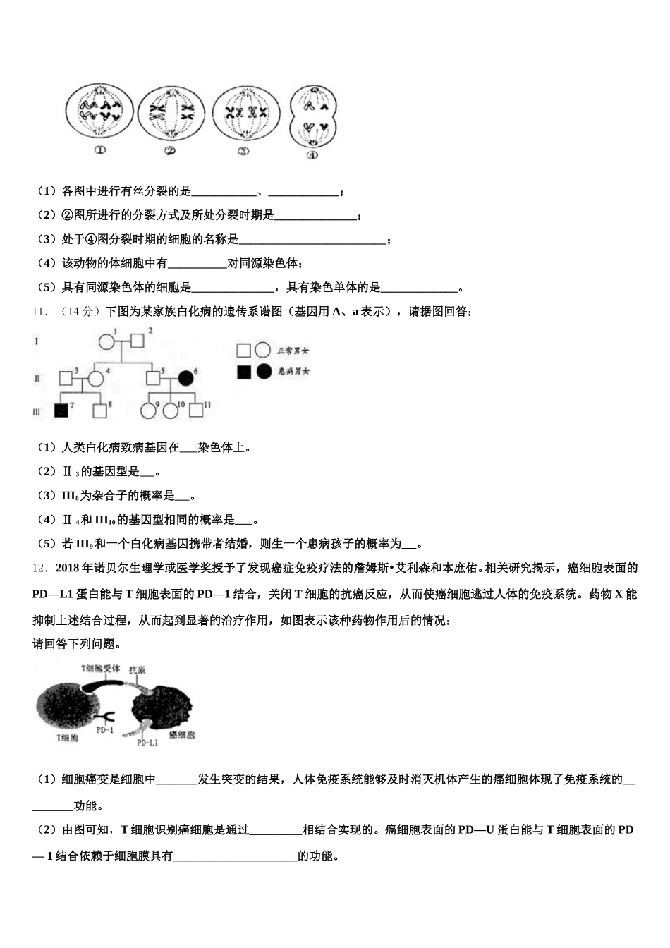 北京市东城区市级名校2024-2025学年高一下生物期末调研模拟试题含解析_第3页