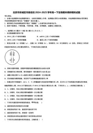 北京市东城区市级名校2024-2025学年高一下生物期末调研模拟试题含解析
