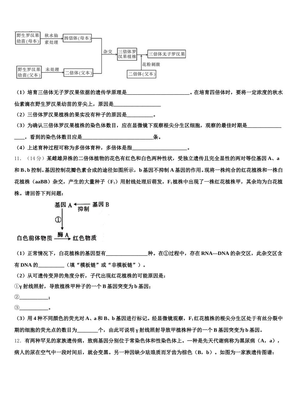 北京西城长安中学2024-2025学年高一下生物期末学业质量监测模拟试题含解析_第3页