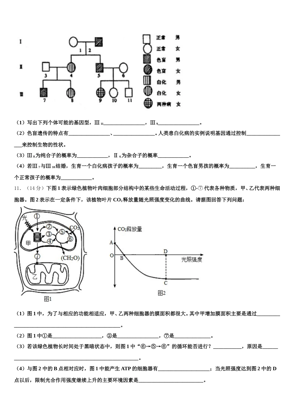 2025届北京市朝阳区陈经伦中学生物高一下期末预测试题含解析_第3页