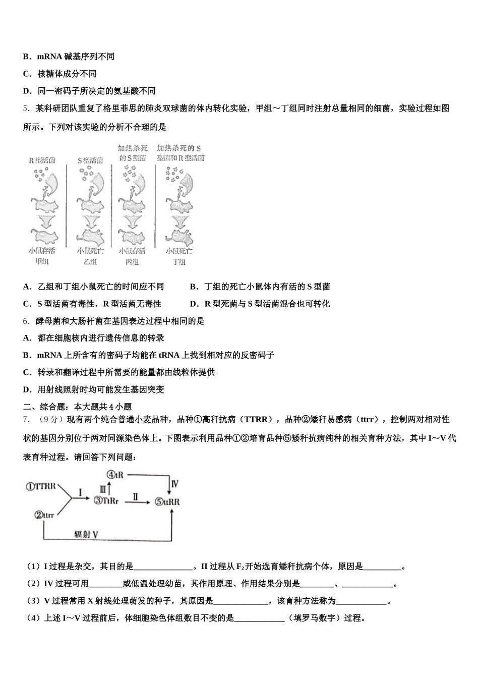 2025年北京八中高一下生物期末教学质量检测模拟试题含解析_第2页