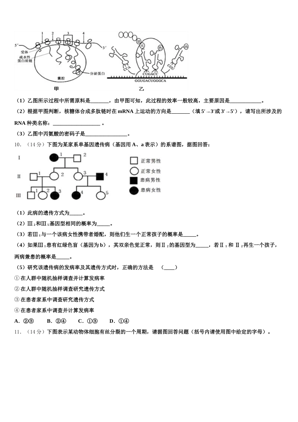 2025届北京市第一五九中学高一下生物期末复习检测试题含解析_第3页