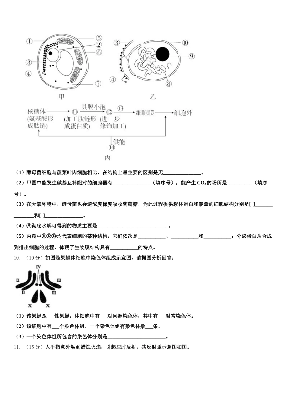 2025届北京市陈经纶中学生物高一下期末联考试题含解析_第3页