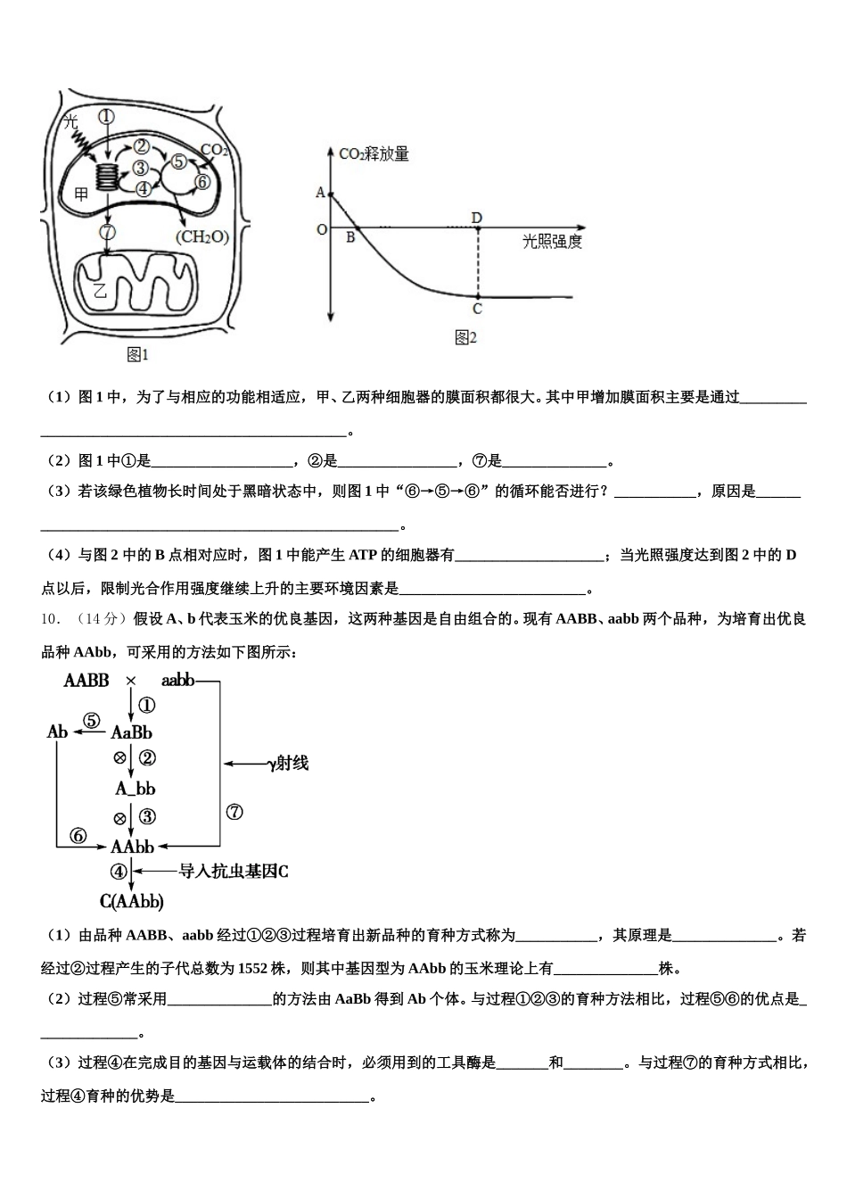 北京市交通大学附属中学2025年高一下生物期末学业水平测试模拟试题含解析_第3页